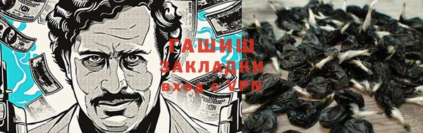 ALPHA PVP Баксан