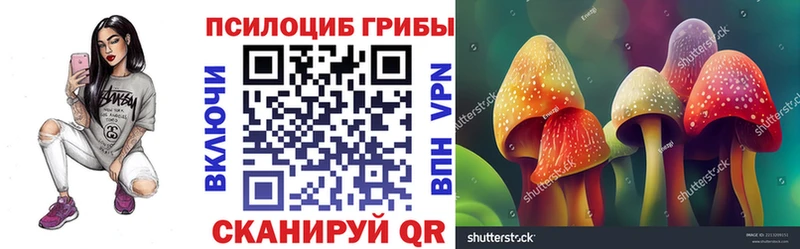 где купить наркотик  Севск  Галлюциногенные грибы мухоморы 